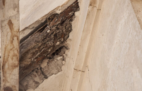 Trattamento termiti danni sul legno e strutture