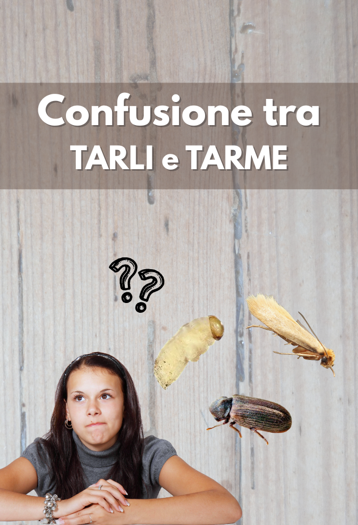 Morta in casa dopo il trattamento antitarlo