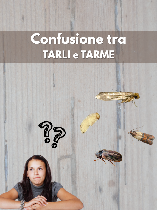 Morta in casa dopo il trattamento antitarlo